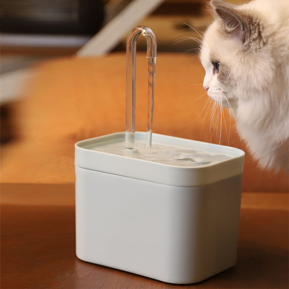 Fontaine d'eau automatique pour chat, filtre automatique USB, bol d'abreuvoir électrique muet pour chat, 1,5 l, abreuvoir filtrant en recirculation pour chats, distributeur d'eau pour animaux de compagnie