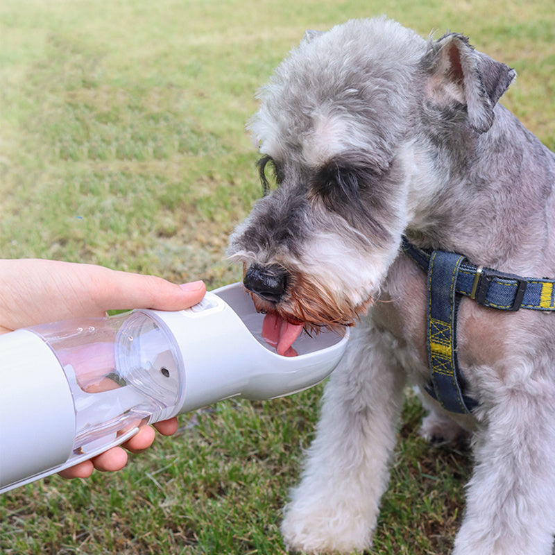 Tasse de sortie pour chien, avec sac poubelle, tasse d'eau, fournitures pour animaux de compagnie
