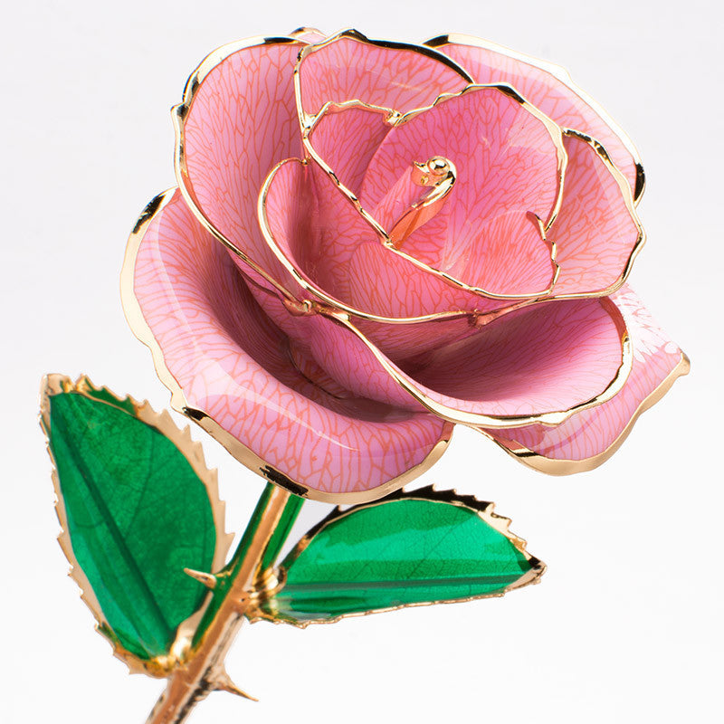 Fleur rose plaquée or 24 carats avec un coffret cadeau, cadeau de la Saint-Valentin