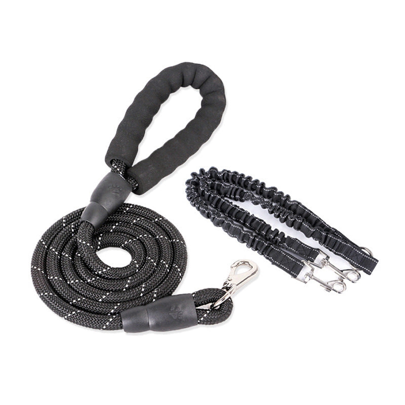 Dogs With One Tow Two Leashes Pets Double Heads