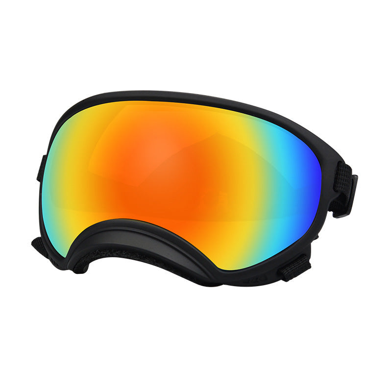 Lunettes de protection contre le vent pour chien Ski Pet