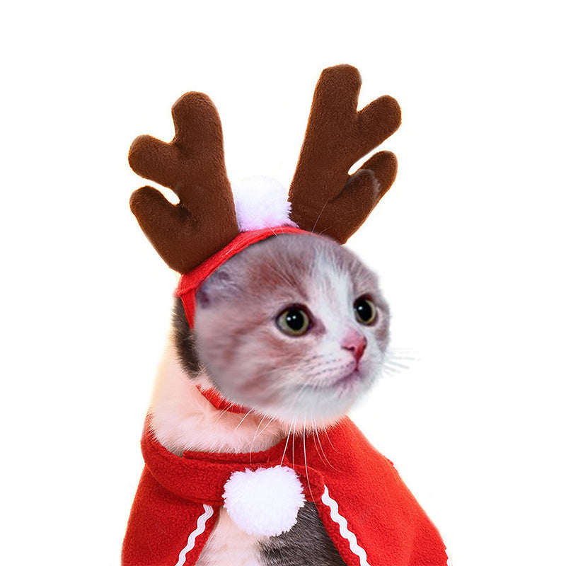 Costume mignon de chat de chien, cape de noël, déguisement d'halloween, chat