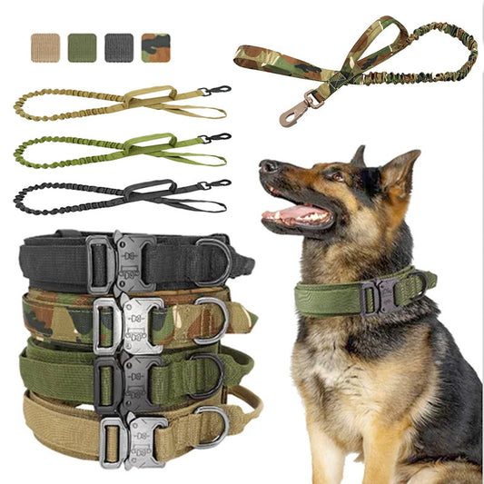 Ensemble collier et laisse tactiques pour chien, collier militaire réglable en Nylon pour chien