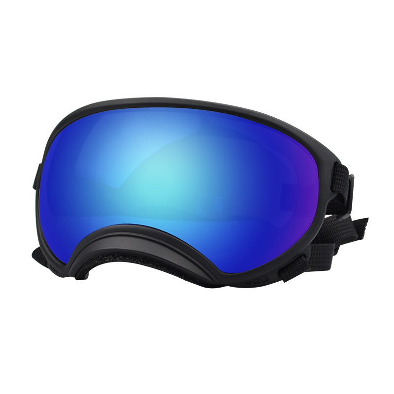 Lunettes de protection contre le vent pour chien Ski Pet