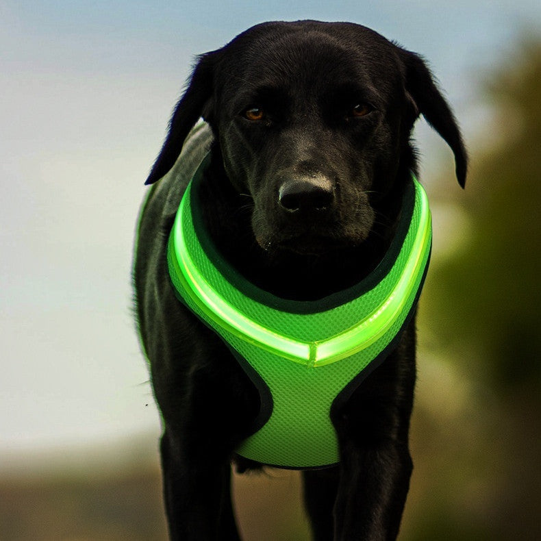 Arnés luminoso LED para perros con carga USB, chaleco con correa para el pecho para perros, arnés reflectante de seguridad para mascotas, chaleco para cachorros, productos para mascotas grandes