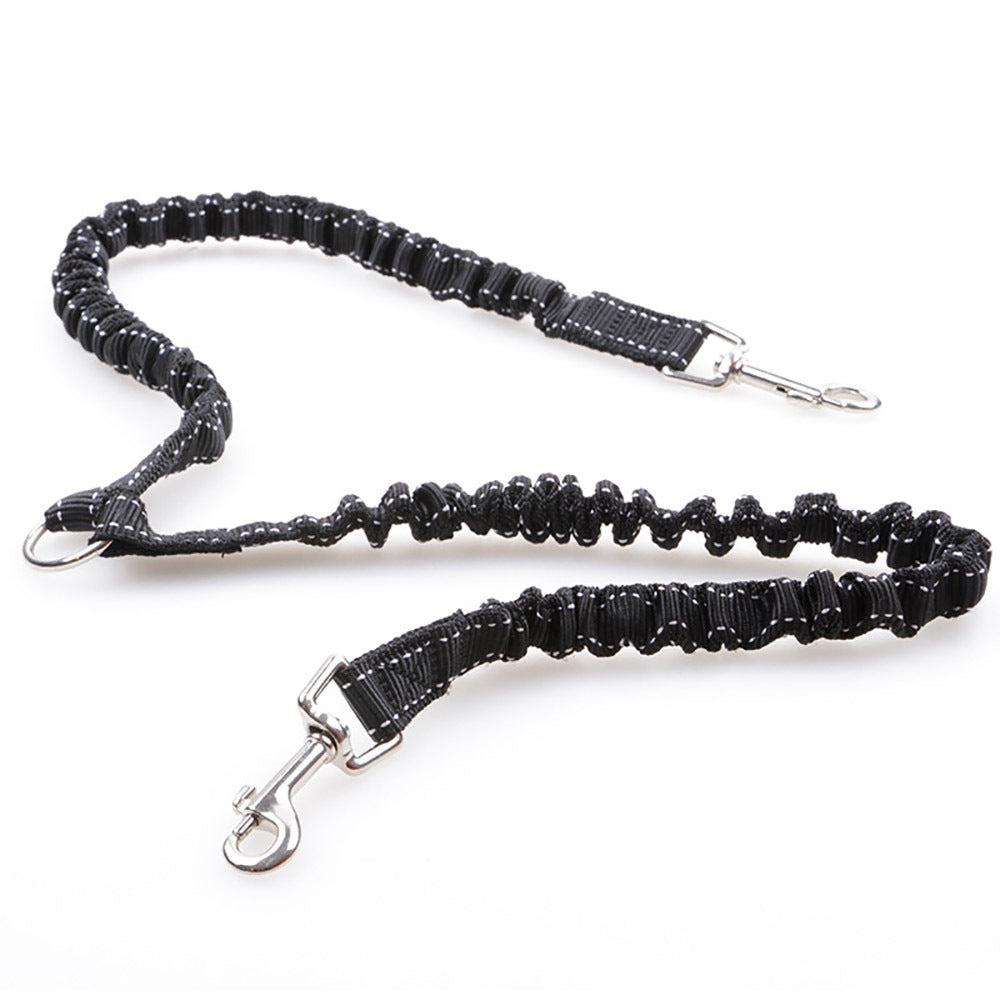 Dogs With One Tow Two Leashes Pets Double Heads