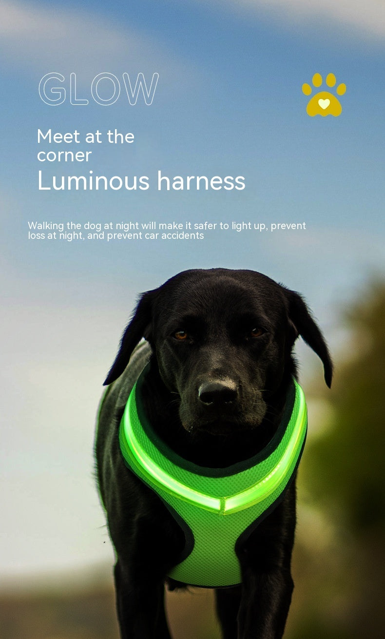 Arnés luminoso LED para perros con carga USB, chaleco con correa para el pecho para perros, arnés reflectante de seguridad para mascotas, chaleco para cachorros, productos para mascotas grandes