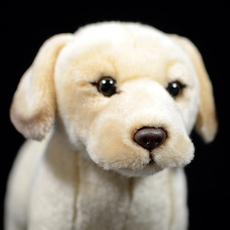Modèle de jouet en peluche animal de simulation