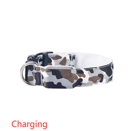 Collier de chien lumineux, fournitures pour animaux de compagnie, Camouflage
