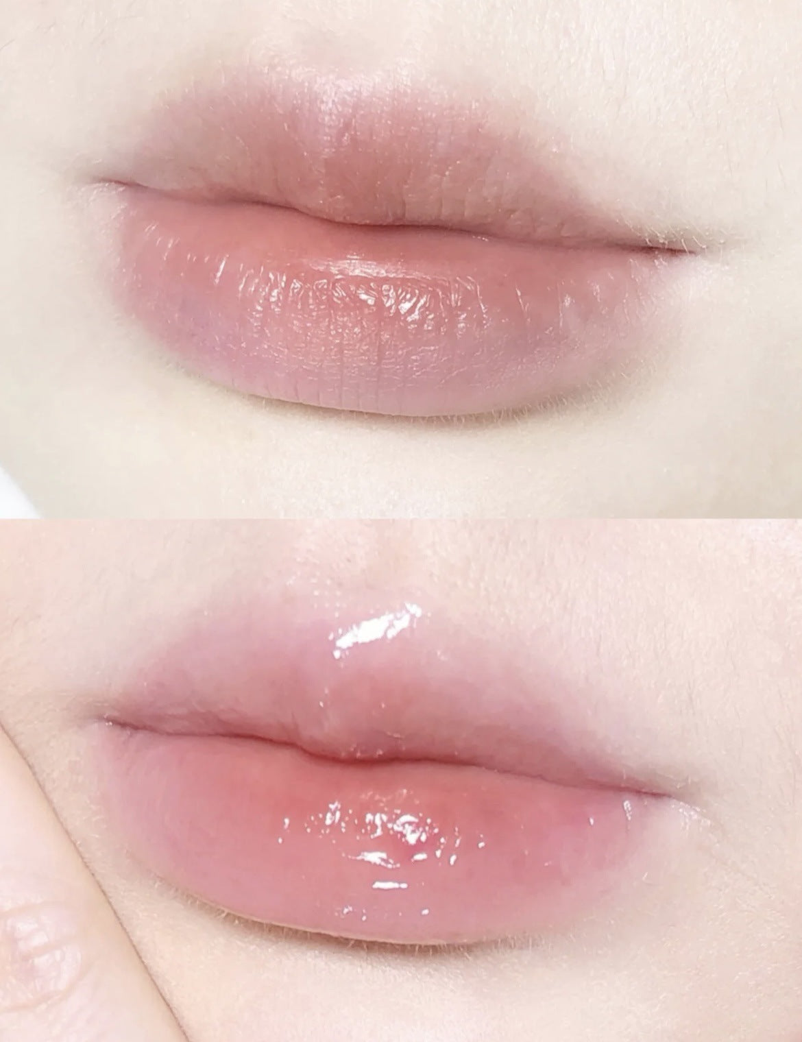 Base Brillo Labial Hidratante Miel Hidratante Transparente