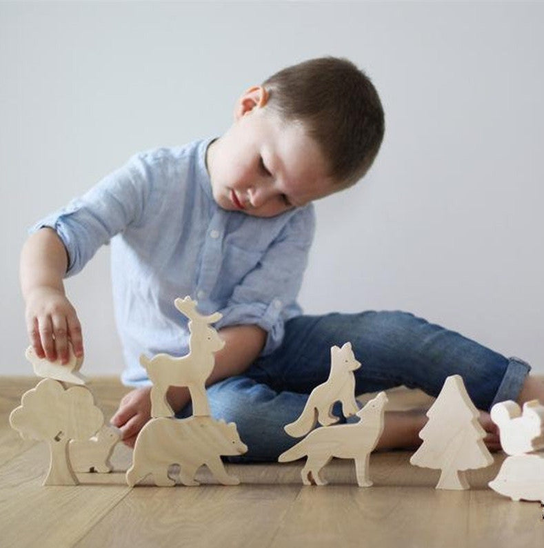 Jouets scientifiques et éducatifs en bois pour enfants