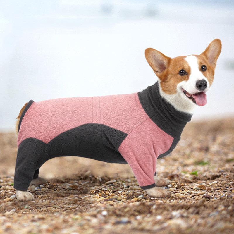 Vêtements pour chiens résistants au froid et chauds pour animaux de compagnie en hiver, fournitures chaudes pour animaux de compagnie