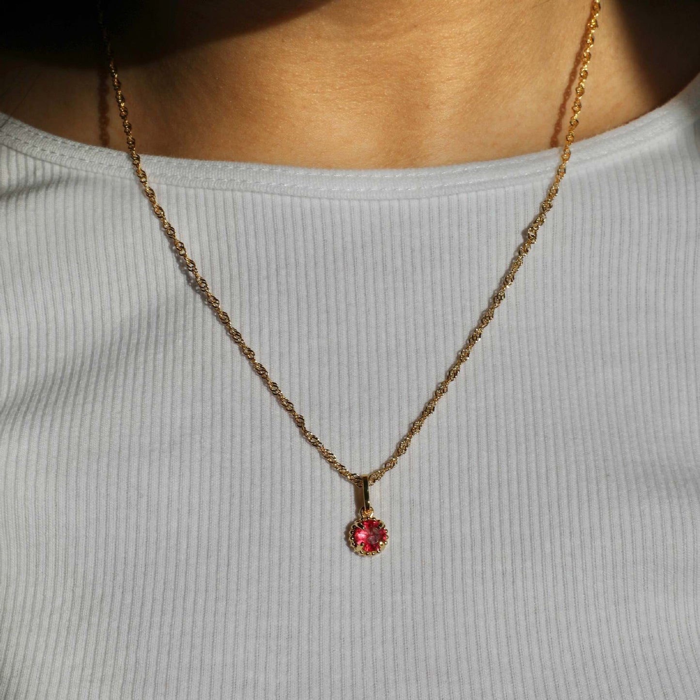 Collier rond en acier inoxydable avec pierre d'anniversaire de décembre