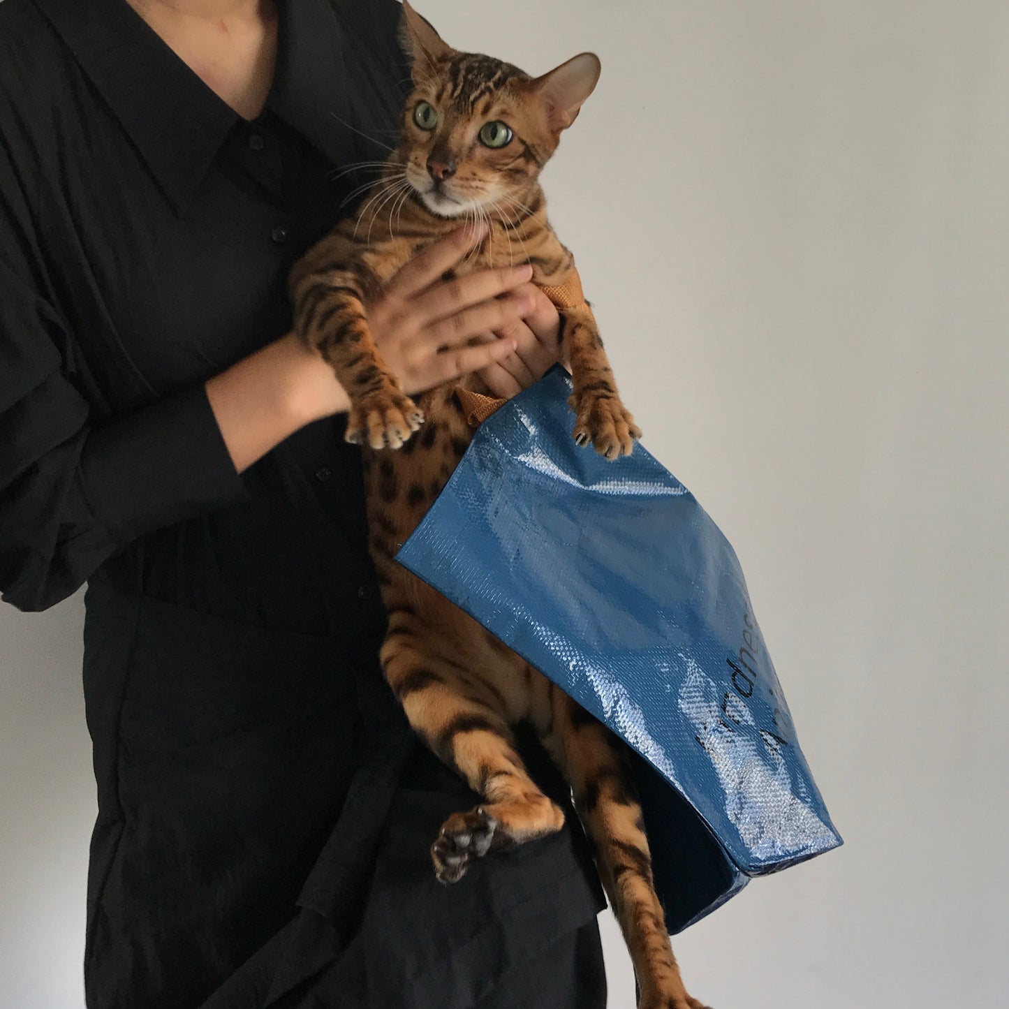 Sac tissé portatif réutilisable de protection de l'environnement d'épaule de cadeau