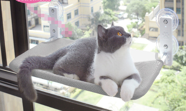 Gato ventosa ventana vidrio hamaca mascota gato mascotas productos