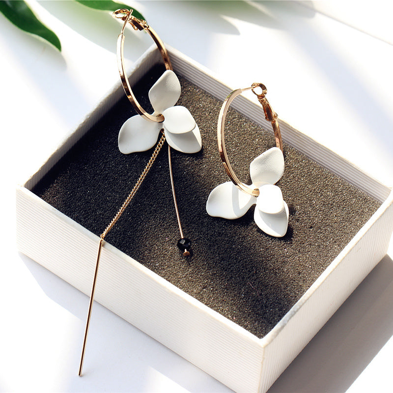 No Ear Hole, Large Circle Invisible Asymmetry