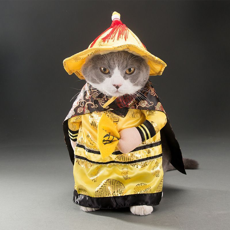 Disfraz de gato mascota primavera y otoño.