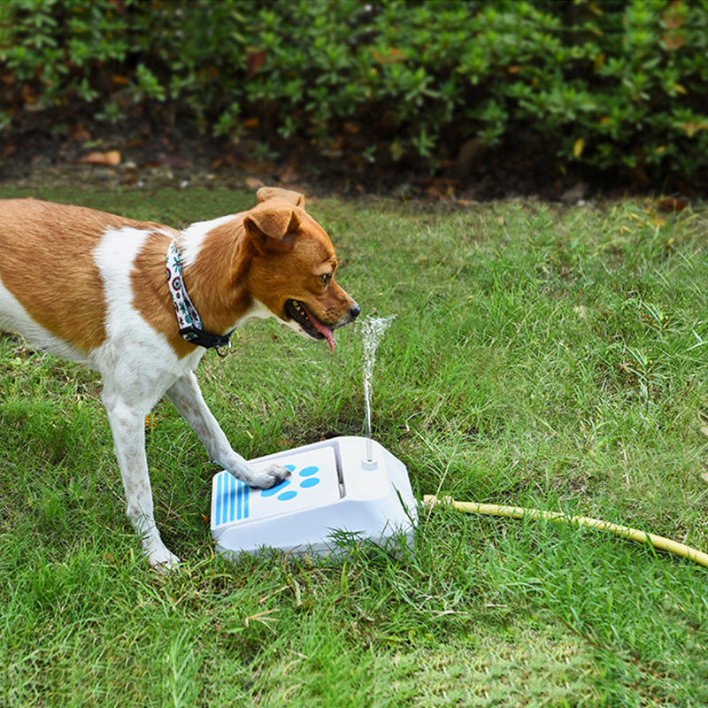 Suministros al aire libre Alimentador de agua para perros Juguetes intelectuales