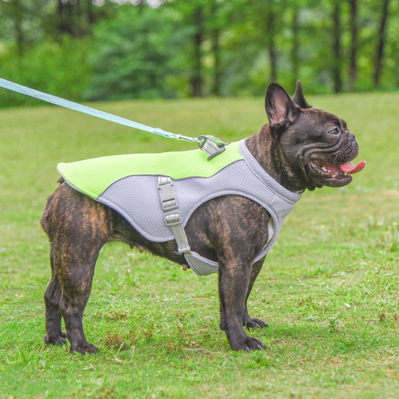 Gilet rafraîchissant d'été pour animaux de compagnie, résistant à la chaleur, vêtements respirants et résistants au soleil pour petits et grands chiens, marche en plein air