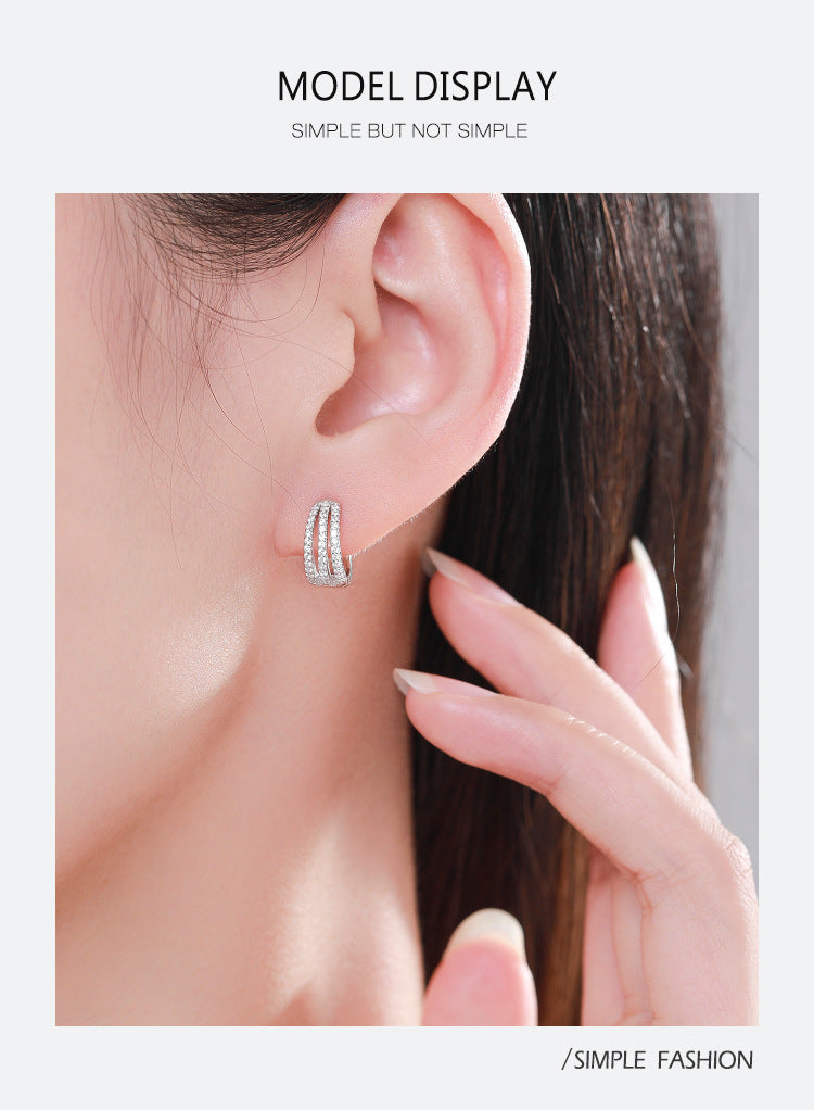 S925 Silver Frosty Style Earrings Female