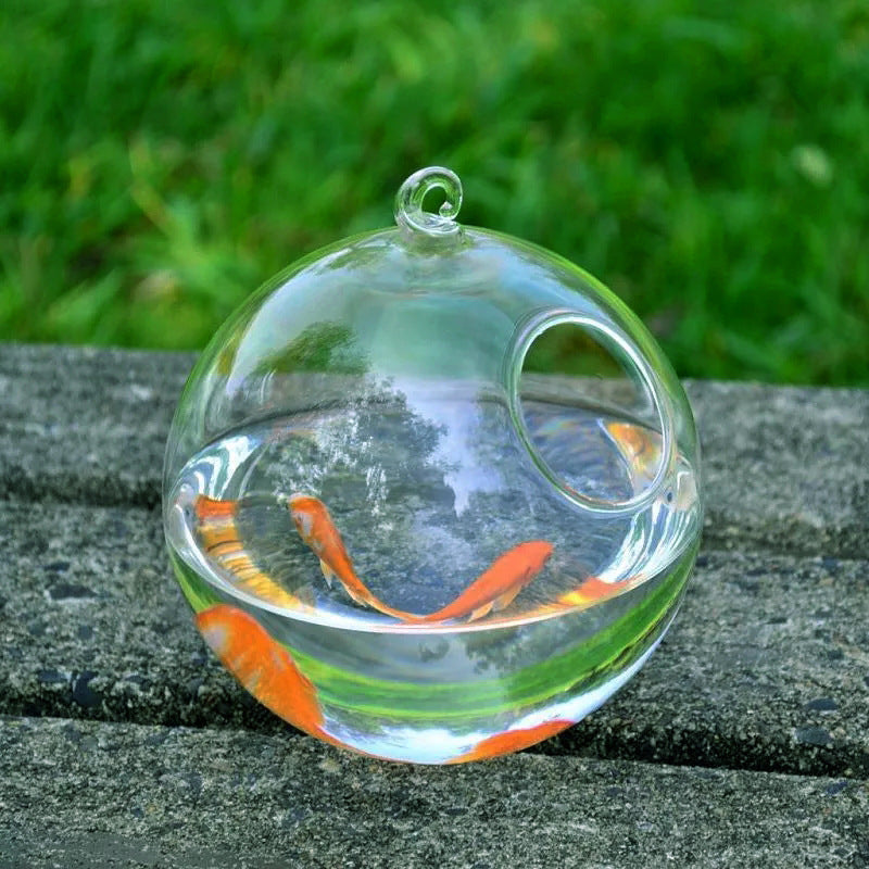 Vase en verre suspendu pour aquarium